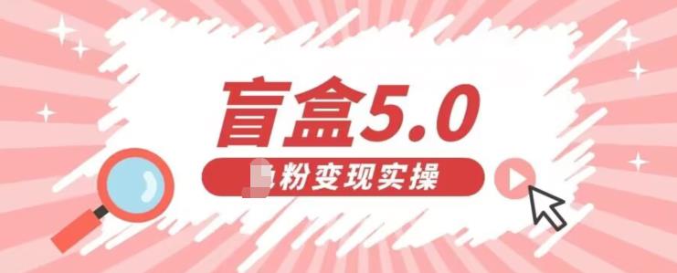 盲盒交友5.0，男粉变现实操项目，亲测变现效果极好【揭秘】-夜影资源