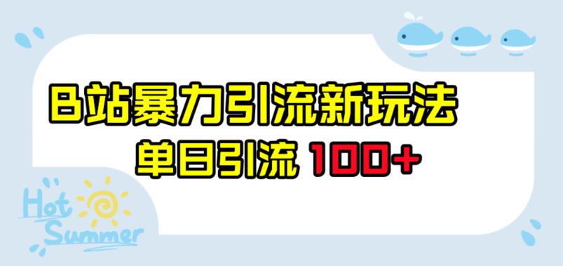 B站暴力引流新玩法，单日引流100+【揭秘】-夜影资源
