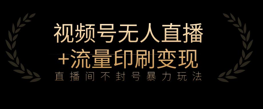 全网首发视频号不封号无人直播暴利玩法+流量印刷机变现，日入1000+【揭秘】-夜影资源