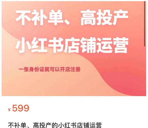 不补单、高投产的小红书店铺运营，一张身份证就可以开店注册-夜影资源