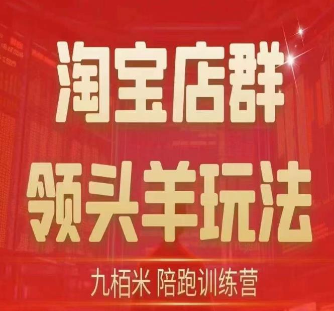 九栢米-淘宝店群领头羊玩法，教你整个淘宝店群领头羊玩法以及精细化/终极蓝海/尾销等内容-夜影资源