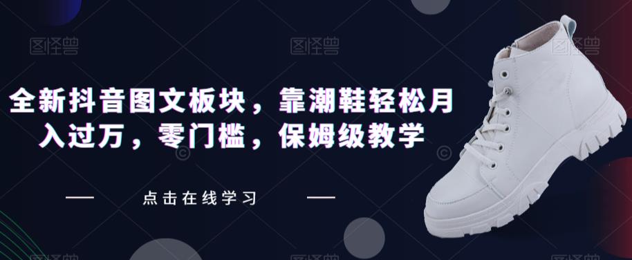 全新抖音图文板块，靠潮鞋轻松月入过万，零门槛，保姆级教学【揭秘】-夜影资源