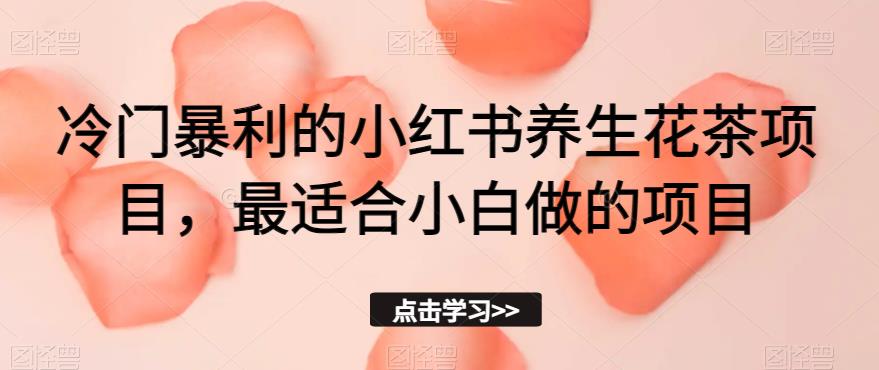 冷门暴利的小红书养生花茶项目，最适合小白做的项目【揭秘】-夜影资源