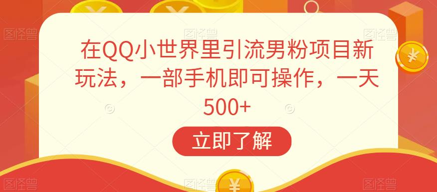 在QQ小世界里引流男粉项目新玩法，一部手机即可操作，一天500+【揭秘】-夜影资源