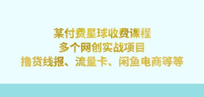 某付费星球课程：多个网创实战项目，撸货线报、流量卡、闲鱼电商等（文档非视频）-夜影资源