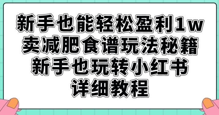 新手也能轻松盈利1w，卖减肥食谱玩法秘籍，新手也玩转小红书详细教程【揭秘】-夜影资源