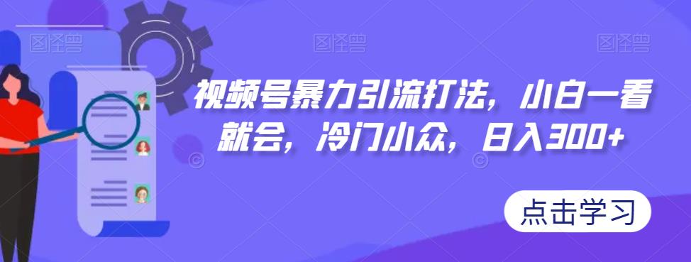 视频号暴力引流打法，小白一看就会，冷门小众，日入300+【揭秘】-夜影资源
