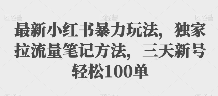 最新小红书暴力玩法，独家拉流量笔记方法，三天新号轻松100单【揭秘】-夜影资源