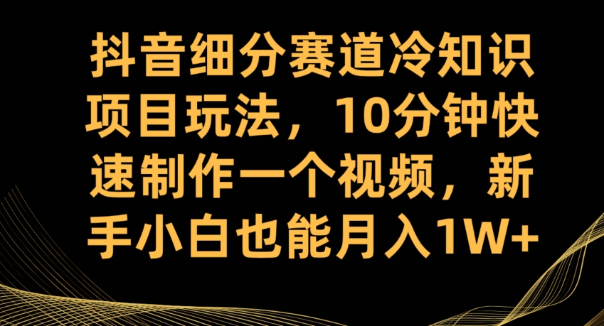 抖音细分赛道冷知识项目玩法，10分钟快速制作一个视频，新手小白也能月入1W+【揭秘】-夜影资源