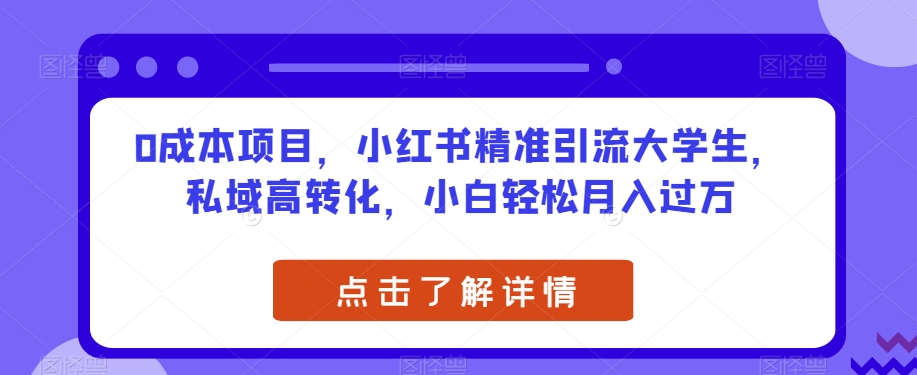 0成本项目，小红书精准引流大学生，私域高转化，小白轻松月入过万【揭秘】-夜影资源