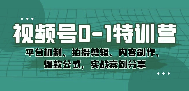 视频号0-1特训营：平台机制、拍摄剪辑、内容创作、爆款公式，实战案例分享-夜影资源