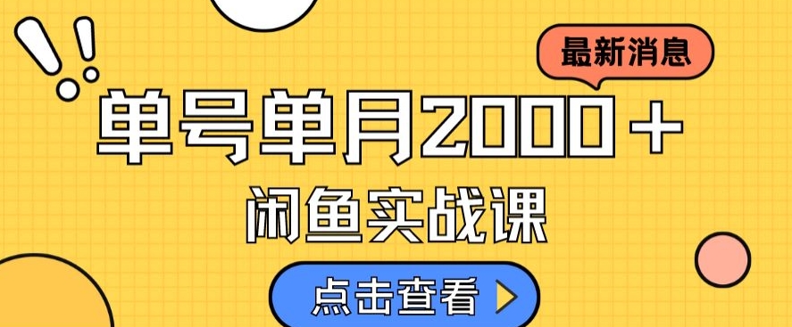 最新闲鱼日入500＋，虚拟资料变现喂饭级讲解-夜影资源
