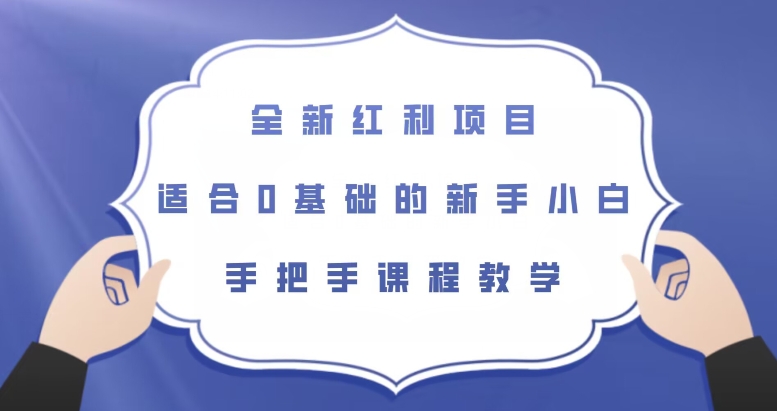 全新红利项目，适合0基础的新手小白，手把手课程教学【揭秘】-夜影资源