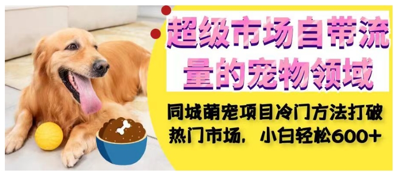 超级市场自带流量的宠物领域，同城萌宠项目冷门方法打破热门市场，小白轻松600+-夜影资源