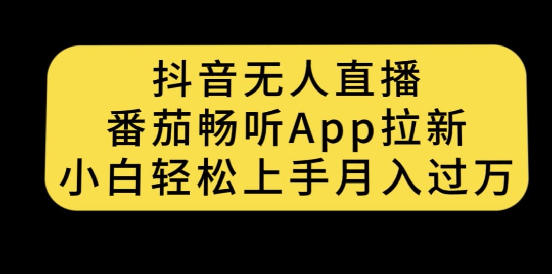 抖音无人直播，番茄畅听APP拉新，小白轻松上手月入过万-夜影资源
