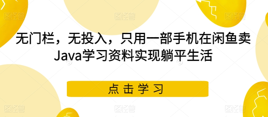 无门栏，无投入，只用一部手机在闲鱼卖Java学习资料实现躺平生活【揭秘】-夜影资源