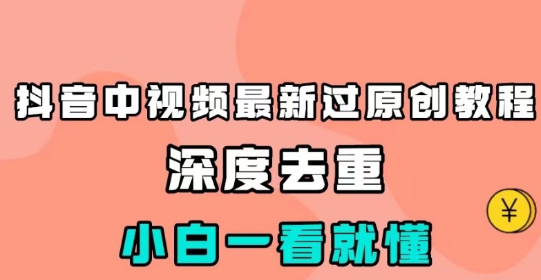 抖音中视频最新过原创教程，深度去重，小白一看就懂【揭秘】-夜影资源