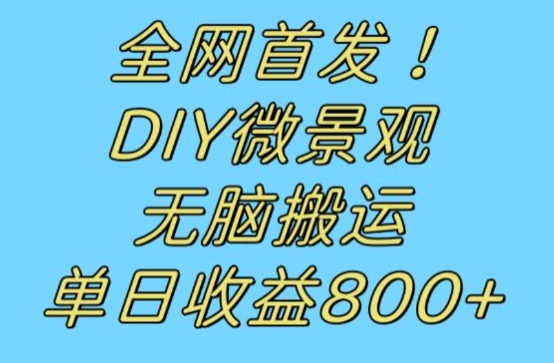 全网首发冷门赛道！DIY微景观，无脑搬运视频，日收益800+【揭秘】-夜影资源