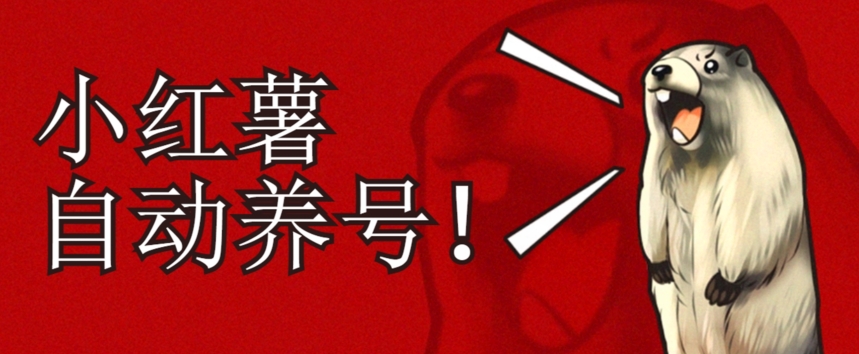 小红书养号秘籍，如何自动涨粉清晰系统标签打造高权重账号【揭秘】-夜影资源