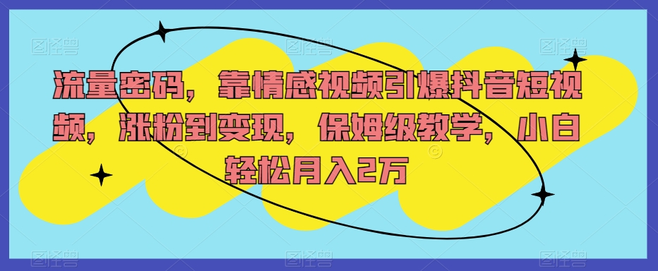 流量密码，靠情感视频引爆抖音短视频，涨粉到变现，保姆级教学，小白轻松月入2万【揭秘】-夜影资源