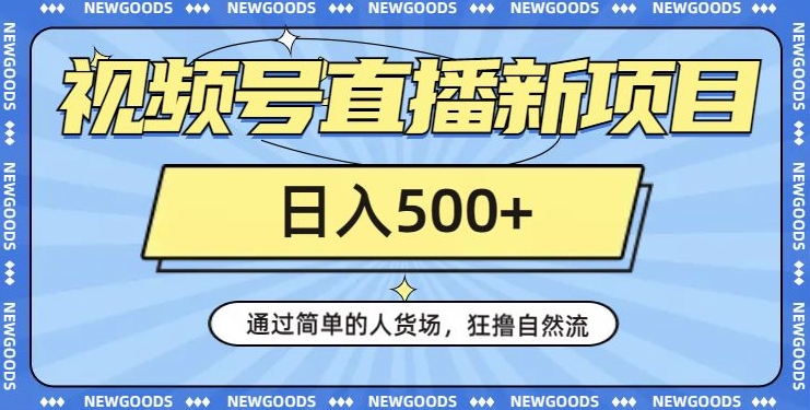 视频号直播新项目，通过简单的人货场，狂撸自然流，日入500+【260G资料】-夜影资源