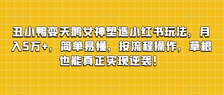 丑小鸭变天鹅女神塑造小红书玩法，月入5万+，简单易懂，按流程操作，草根也能真正实现逆袭！-夜影资源