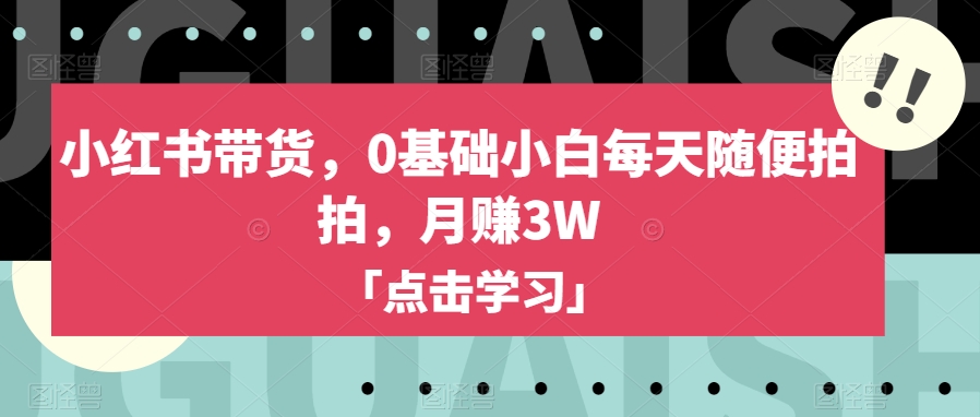 小红书带货，0基础小白每天随便拍拍，月赚3W【揭秘】-夜影资源