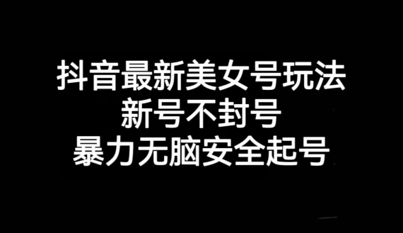 抖音最新美女号玩法，新号不封号，暴力无脑安全起号【揭秘】-夜影资源