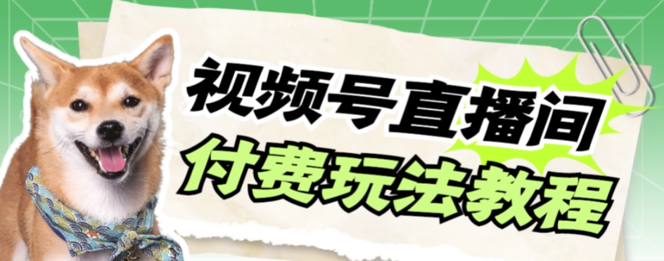 视频号美女付费无人直播，轻松日入500+【详细玩法教程】-夜影资源