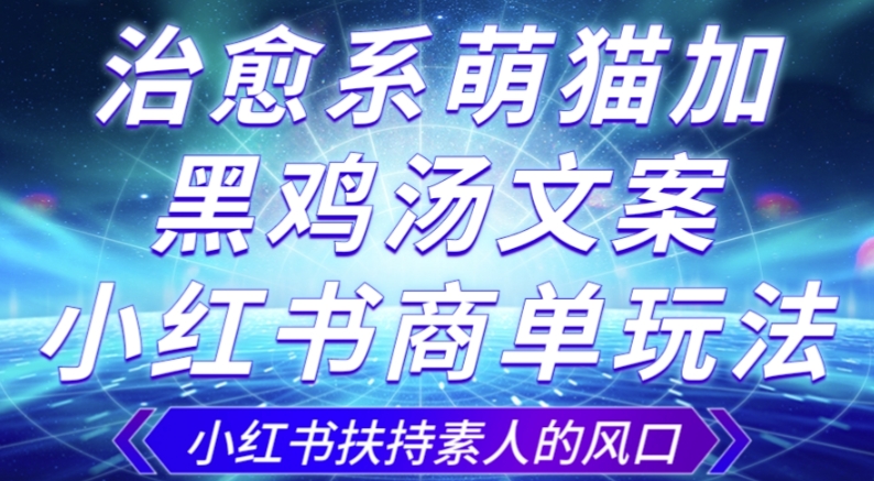 治愈系萌猫加+黑鸡汤文案，小红书商单玩法，3~10天涨到1000粉，一单200左右-夜影资源