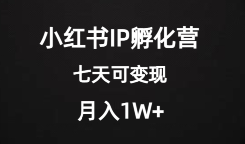 价值2000+的小红书IP孵化营项目，超级大蓝海，七天即可开始变现，稳定月入1W+-夜影资源