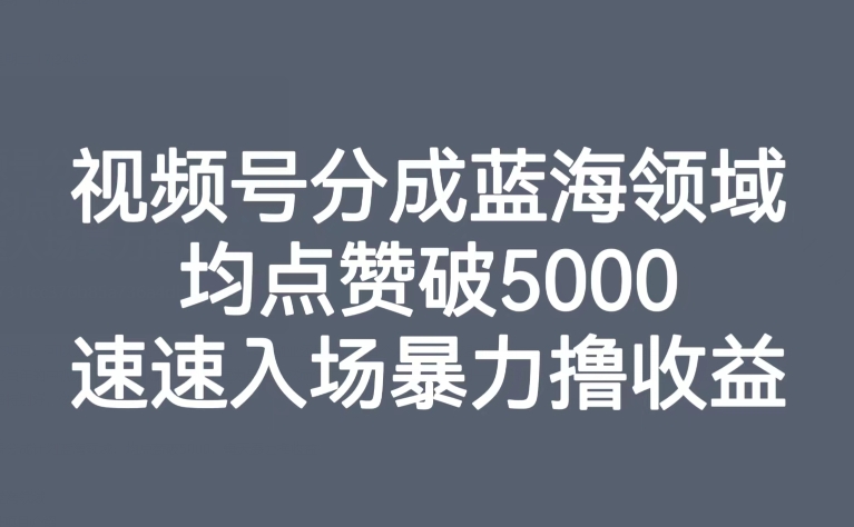 视频号分成蓝海领域，均点赞破5000，速速入场暴力撸收益-夜影资源