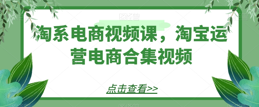 淘系电商视频课，淘宝运营电商合集视频-夜影资源