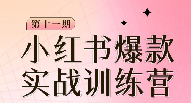 小红书博主爆款训练营第11期，手把手教你从0-1做小红书，从定位到起号到变现-夜影资源