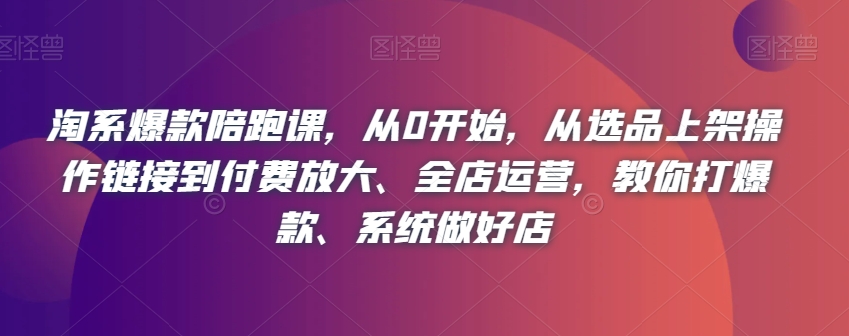 淘系爆款陪跑课，从0开始，从选品上架操作链接到付费放大、全店运营，教你打爆款、系统做好店-夜影资源