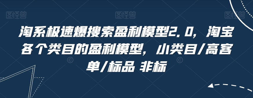 淘系极速爆搜索盈利模型2.0，淘宝各个类目的盈利模型，小类目/高客单/标品 非标-夜影资源