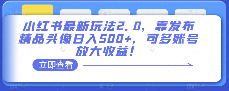 小红书最新玩法2.0，靠发布精品头像日入500+，可多账号放大收益！【揭秘】-夜影资源