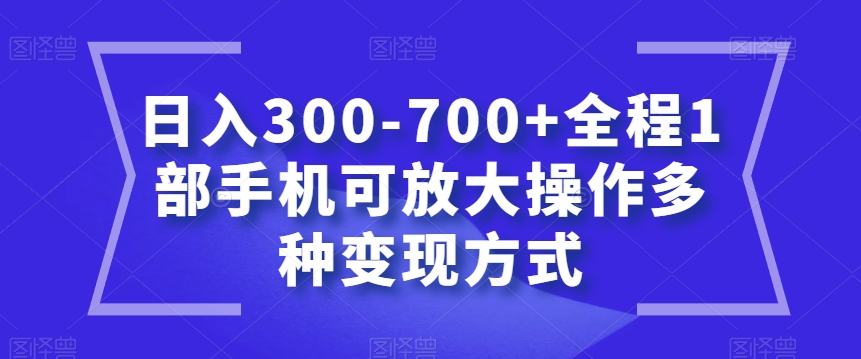 日入300-700+全程1部手机可放大操作多种变现方式【揭秘】-夜影资源