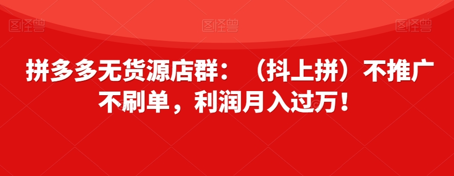 拼多多无货源店群：（抖上拼）不推广不刷单，利润月入过万！【揭秘】-夜影资源
