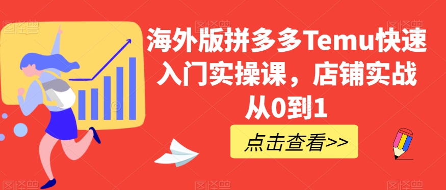 海外版拼多多Temu快速入门实操课，店铺实战从0到1-夜影资源