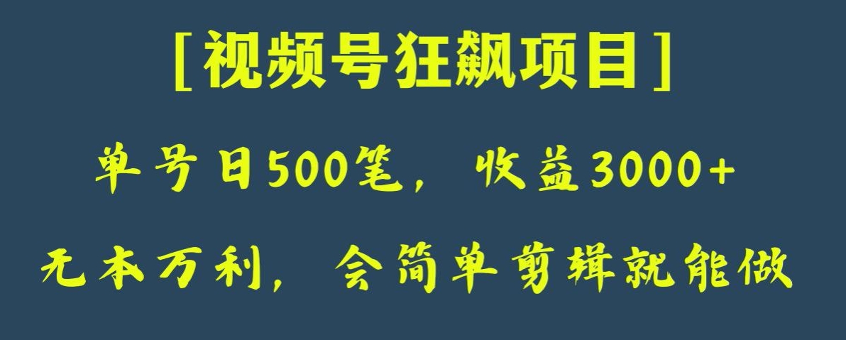 日收款500笔，纯利润3000+，视频号狂飙项目，会简单剪辑就能做【揭秘】-夜影资源