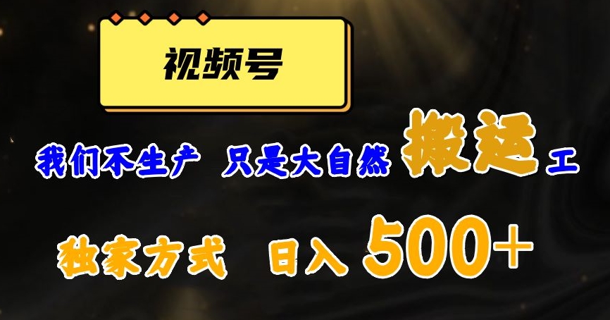 视频号轻松搬运日赚500+，一个1分钟1条原创视频【揭秘】-夜影资源