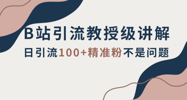 B站引流教授级讲解，细节满满，日引流100+精准粉不是问题【揭秘】-夜影资源