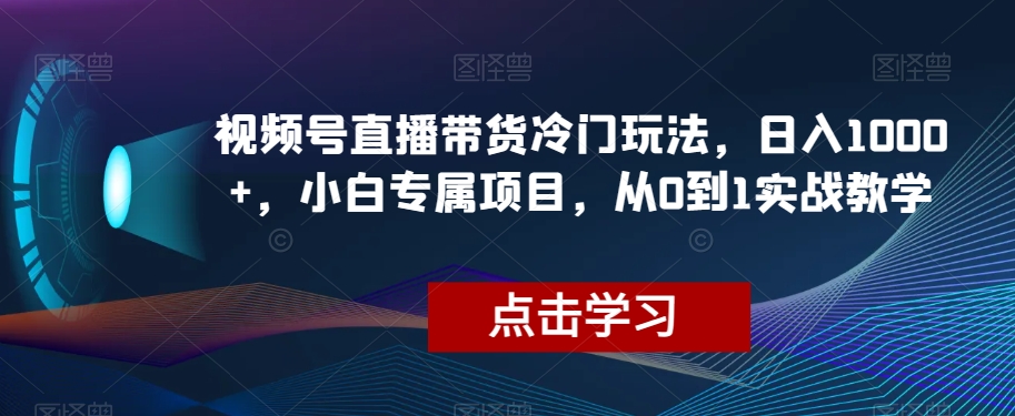 视频号直播带货冷门玩法，日入1000+，小白专属项目，从0到1实战教学【揭秘】-夜影资源