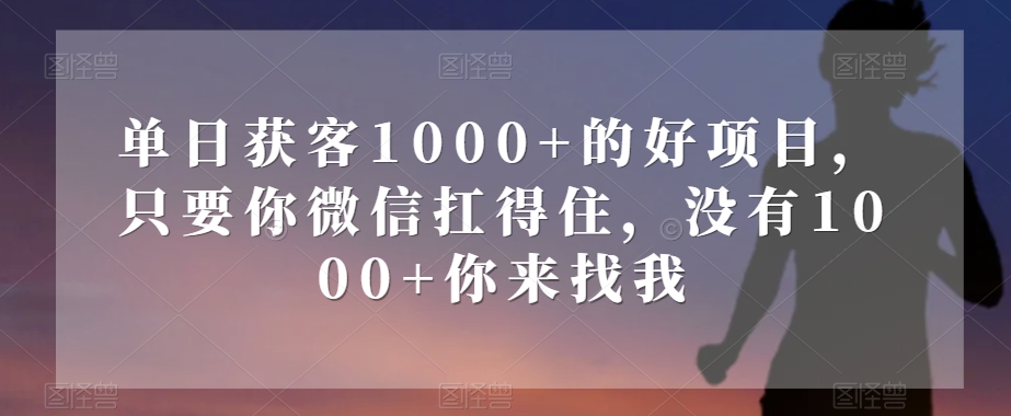 单日获客1000+的好项目，只要你微信扛得住，没有1000+你来找我【揭秘】-夜影资源