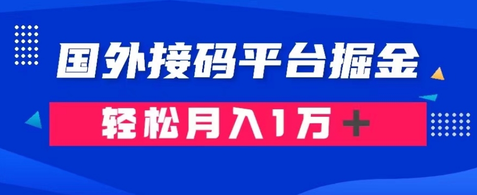 通过国外接码平台掘金：成本1.3，利润10＋，轻松月入1万＋【揭秘】-夜影资源