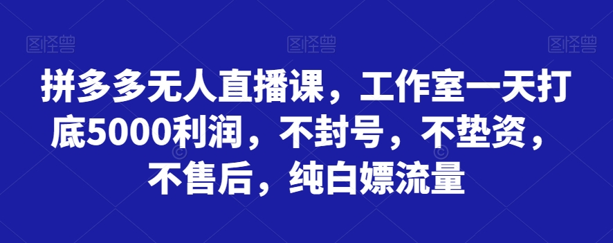 拼多多无人直播课，工作室一天打底5000利润，不封号，不垫资，不售后，纯白嫖流量-夜影资源
