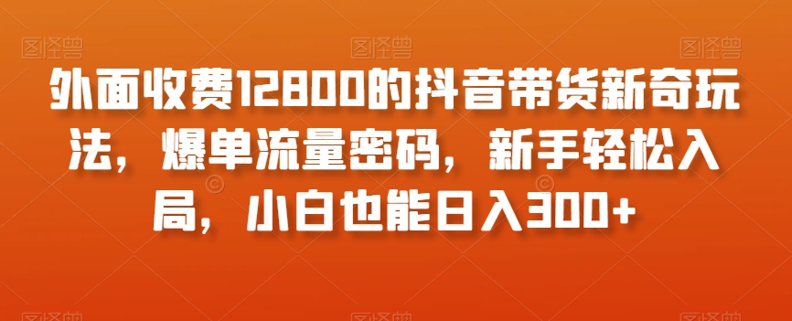 外面收费12800的抖音带货新奇玩法，爆单流量密码，新手轻松入局，小白也能日入300+【揭秘】-夜影资源