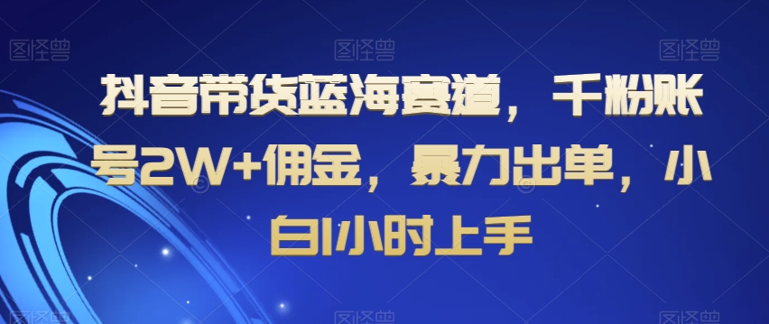 抖音带货蓝海赛道，千粉账号2W+佣金，暴力出单，小白1小时上手【揭秘】-夜影资源