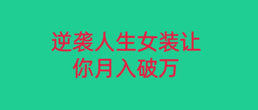 小红书女装无货源月入过万，只要努力就会有成效！-夜影资源